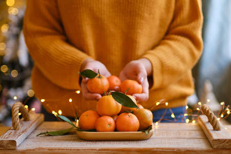 woman in knitted sweater makes a Christmas composition for festive mood, mandarines and fir tree decoration behind. holiday aroma. Selective focusの写真素材