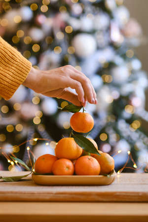 woman in knitted sweater makes a Christmas composition for festive mood, mandarines and fir tree...