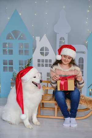 Child girl with gift box and dog Samoyed wearing Santa hats on the background of christmas decoraion. Happy Christmas and New Yearの写真素材