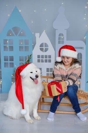 Child girl with gift box and dog Samoyed wearing Santa hats on the background of christmas decoraion. Happy Christmas and New Yearの写真素材