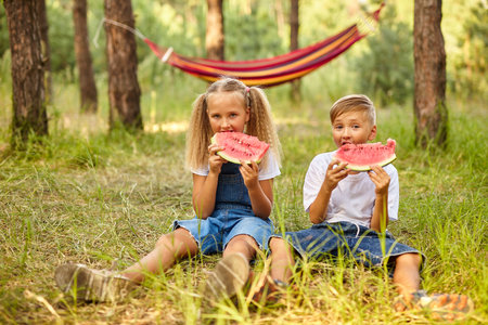Kids eating watermelon in the park. Kids eat fruits outdoors. Healthy snack for kids. Little girl and boy playing in the forest biting a slice of water melonの写真素材