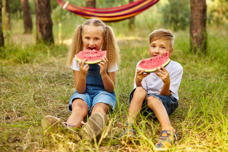 Kids eating watermelon in the park. Kids eat fruits outdoors. Healthy snack for kids. Little girl and boy playing in the forest biting a slice of water melonの写真素材