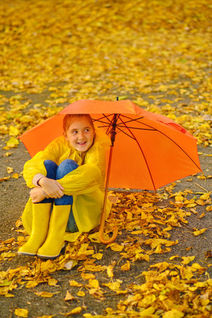 Happy kid Sits in the autumn parkの写真素材