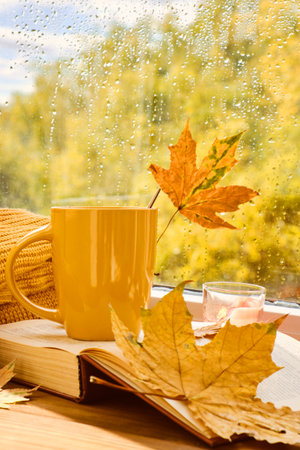 cup of tea, books, autumn leaves and candle on window sill at homeの写真素材