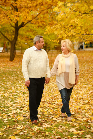 Active seniors on a walk in forestの写真素材