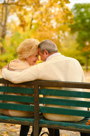 Active seniors on a walk in autumn forestの写真素材