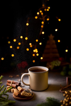 Mug of hot chocolate and Christmas decorationsの写真素材