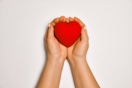 hands holding red heart, health care, love, organ donation, praying conceptの写真素材