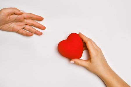 hands holding red heart, health care, love, organ donation, praying conceptの写真素材