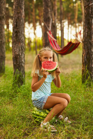 Summer season of watermelons. Picnic with a hammock in the forest. A cute little girl sits on a watermelon in the forest or garden and eating a sweet watermelonの写真素材