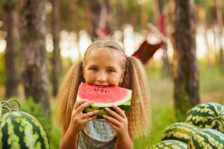 Summer season of watermelons. Picnic with a hammock in the forest. Portrait of cute kid girl sits on a watermelon in the forest or garden and eating a sweet watermelonの写真素材