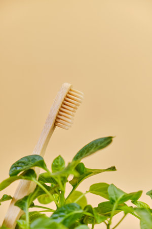 Bamboo toothbrush and herbs on beige background, closeup.の写真素材