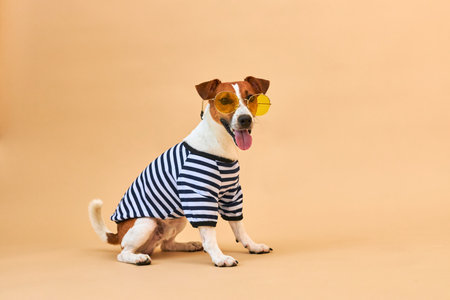 Cute Jack russel dog with tongue hanging out dressed in yellow sunglasses and striped t-shirt, on light yellow background, vacation and adventure. Travel preparation and planning.の写真素材