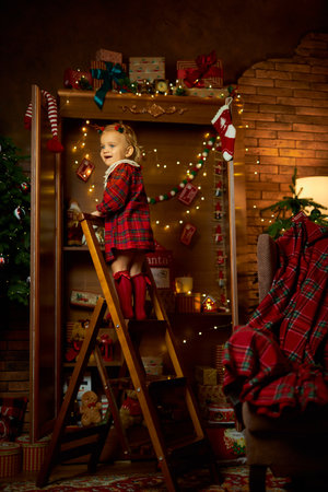 Merry Christmas and Happy Holiday. A little girl in a plaid dressの写真素材