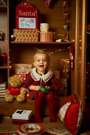 Merry Christmas and Happy Holiday. A little girl in a plaid dressの写真素材