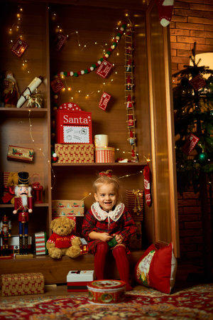 Merry Christmas and Happy Holiday. A little girl in a plaid dressの写真素材