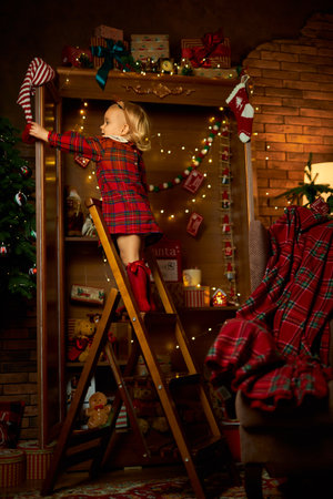 Merry Christmas and Happy Holiday. A little girl in a plaid dressの写真素材