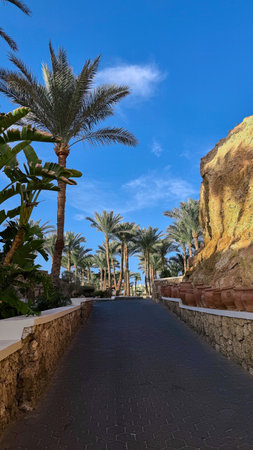 Beautiful view of resort town of Sharm El Sheikh, Egypt, Africa. White Arabic buildings, well-kept...