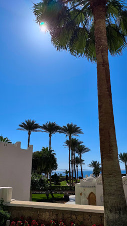 Beautiful view of resort town of Sharm El Sheikh, Egypt, Africa. White Arabic buildings, well-kept streets, palm trees, cactus. Luxury hotel holiday, vacation concept.の写真素材