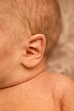An extreme close-up of a newborn babys ear, with a focus on their tiny, perfect ear. Captures the...