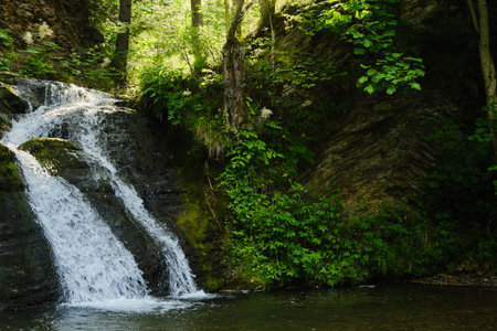 Serene vertical view of a forest waterfall cascading into a clear pool. Low-angle perspective and sunlit rocks evoke a peaceful atmosphere for nature retreatの写真素材