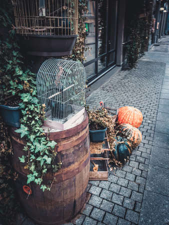 Festive decoration for Halloween. Witchcraft concept, crow in the cage, pumpkins, barrels. Mobile...