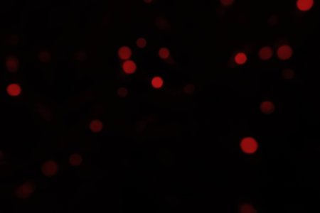 Defocused bokeh red small lights on black background. Blurred abstract red glitter wallpaper for love theme, Valentine's day.の写真素材