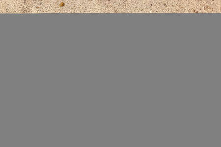 Dog paw print in beach sand, dog's footprint. Close-up of dog paw print on dry sand. Top view, macro photo. Texture of natural background for design. Concept of banner about travel with dog, animals.の写真素材