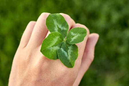 A successful four-leaf clover between the fingers of the hand. top view. The concept of luck and fortune. The found symbol of good luck.の写真素材