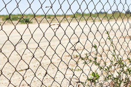 View of the old metal fence and sandy road.Green plants grow through a grid. Focus on the foreground. Vegetation at the fence.の写真素材