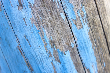 Texture under the slope of an old tree painted with peeling blue paint. Close-up, background for the design.の写真素材