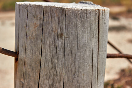 An old dry stump with a rusty metal rod pierced through it. The texture of an old tree. Close up, side view.の写真素材