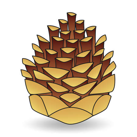 Cartoon brown pine cone isolated on white background close-up. Hand drawn lump. Design element for...