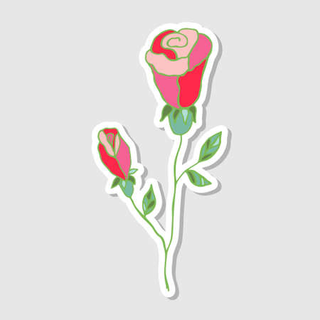 Illustration of a pink rose. Stickers with flowers for the album. Beautiful floral stickers.Doodle style. Drawing bright flowers. Vector illustration.のイラスト素材