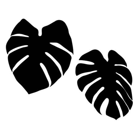 Black silhouette of monstera leaves on a white background. Vector tropical leaves for your design.のイラスト素材