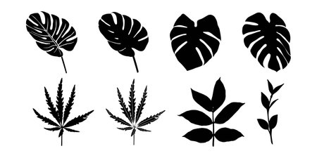 Set of black silhouettes of various leaves on a white background. Forest and tropical leaves. Black and white. Vector illustration.のイラスト素材