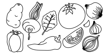 Collection of hand drawn vegetable outlines that can be colored. Fun and engaging coloring book for children. Different vegetable shapes and sizes. Set is for encouraging creativity and learning.のイラスト素材