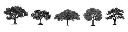 Tree silhouette. Simple black outlines of various trees. Silhouettes of plants in various positions. Forest set in flat style. Vector illustration.のイラスト素材