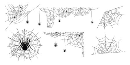 Spider and web. Set of different web designs. Mesh abstract texture of spider insect traps. Halloween design element. Isolated graphic template. Vector set.のイラスト素材