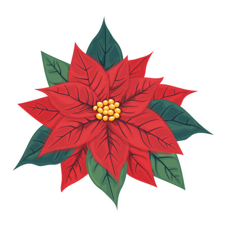 Christmas star flower poinsettia. A symbol of the winter holidays is a plant pulcherrima with red and green leaves. For holiday decor and greeting cards. Vector illustration.のイラスト素材