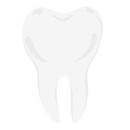 Minimalistic white tooth icon on a white background.のイラスト素材