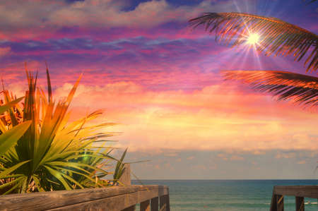 starlight over the sea at sunsetの写真素材