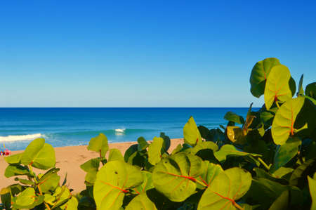 peaceful beachの写真素材