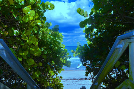 surfs upの写真素材