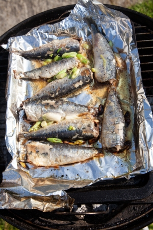 Sardines on the barbecueの写真素材