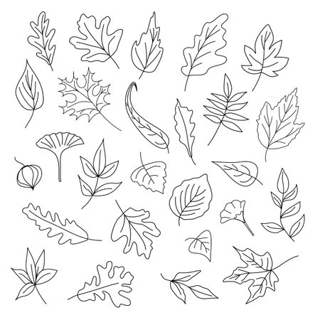 Autumn Leaves Line Art Setのイラスト素材