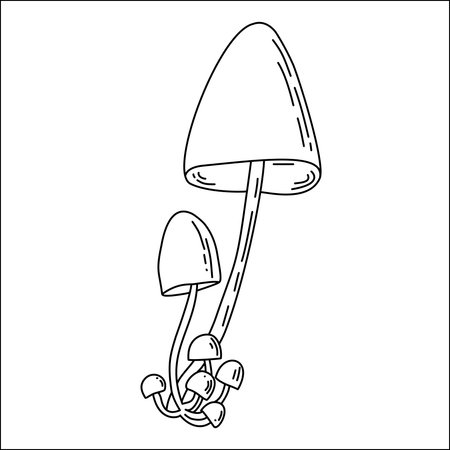 Hand Drawn Forest Mushrooms Line Art Illustrationのイラスト素材
