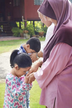 Grandchildren greeting their grandparentsの写真素材