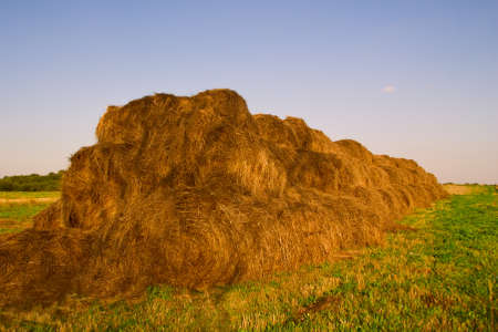Big Bale of Hay in sunset light