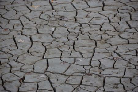 Dry Gray Mud Background Textureの写真素材